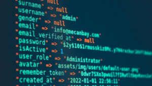 Au-delà de la transaction : une nouvelle vision pour la prévention des fraudes et des attaques informatiques