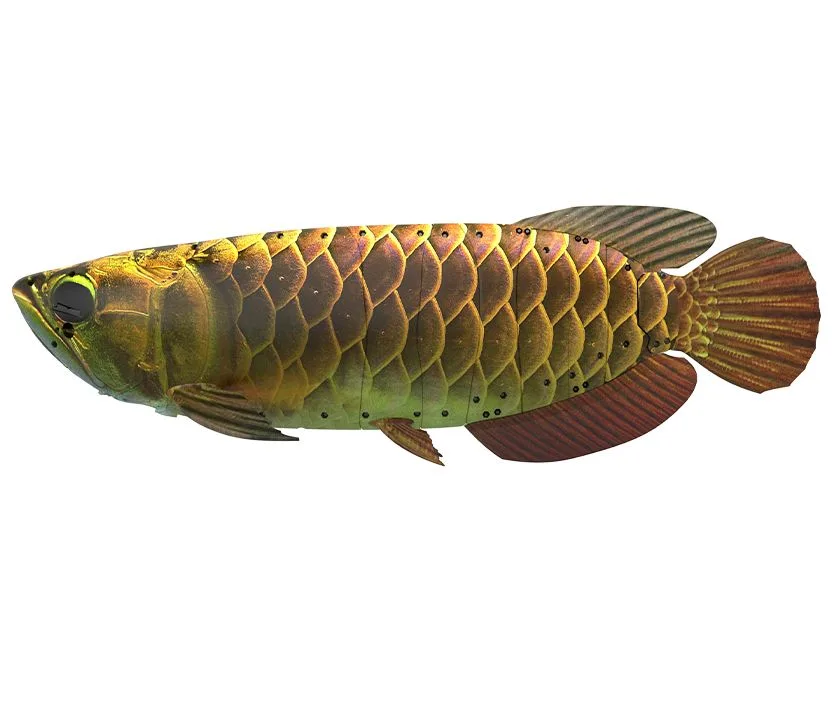 BG-5 : robot-poisson autonome sous l&rsquo;eau pendant quatre heures